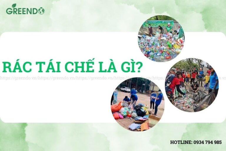 Rác tái chế là gì? Các loại thùng đựng rác tái chế phổ biến